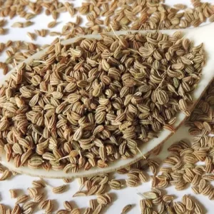 fenugreek seeds (copy)