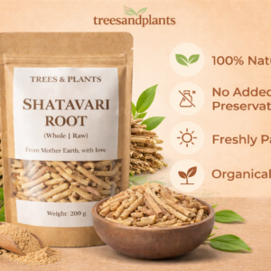 shatavari root (whole)