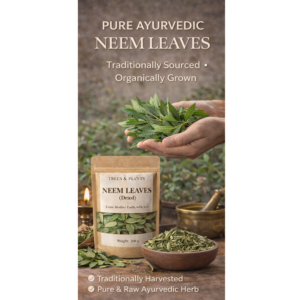 neem leaves (dried) (whole)